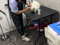 -瑞派紫金宠物医院24小时·骨科·中兽医·重症转诊中心(番禺大石院)