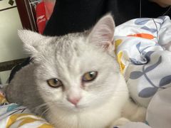 -谐和贝康宠物医院24小时·宠保定点(急重症转诊中心)