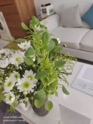 -HEYAN荷妍专业脱毛连锁机构