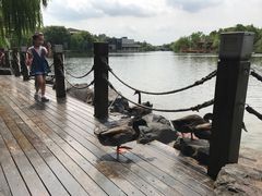 -上海怡沁园度假酒店