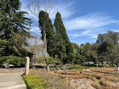 -花溪公园