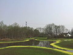 -桤木河湿地公园