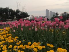 -厦门园林博览苑