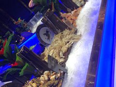 -加餐海鲜自助(宝龙一城店)