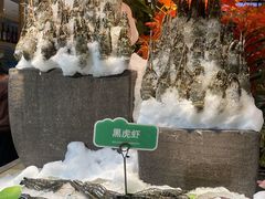 -亚马逊蒸汽活海鲜自助(LCM置汇旭辉广场店)
