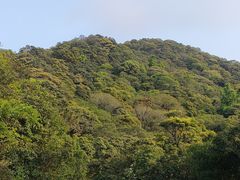 -梧桐山风景名胜区