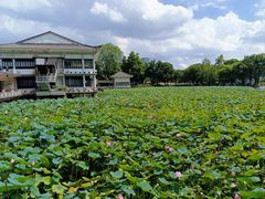 -荔湾湖公园