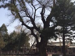 -晋祠公园