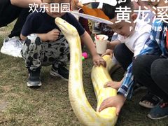 -黄龙溪欢乐田园