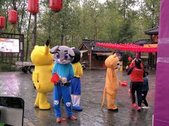 -合肥滨湖国家森林公园