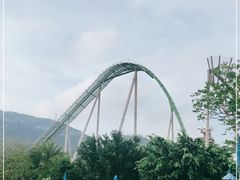 -鹦鹉过山车