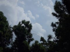 -缥缈峰景区