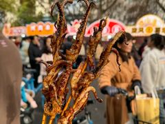 -高东镇樱花园