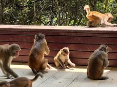 -重庆云阳龙缸景区