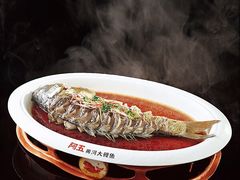 清蒸黄河鲤鱼-阿五黄河大鲤鱼(纬三路店)