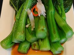 -彩丰楼中餐厅·早茶·点心·粤菜(海口华彩洲际酒店)