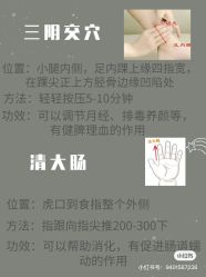 -香薇妮丝女子减肥院