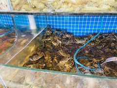 -蟹谢蒸鲜自助餐厅