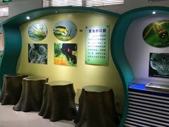 -上海昆虫博物馆