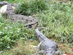 -昆明动物园