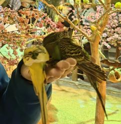 -酷嗒动物文化乐园(cutezoo西溪乐天城店)