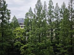 -杭州黄龙洞