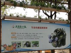 -米果果小镇