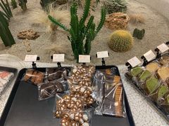 -OUR Bakery(SKP-S店)