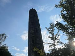 -上海佘山国家森林公园天马山园