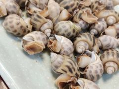 -沙田台山海鲜·酣客酒窖