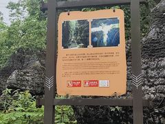 -梭布垭石林景区