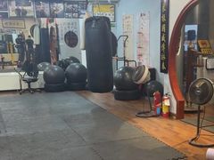 -温鉴良实用咏春拳