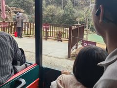-杭州野生动物世界