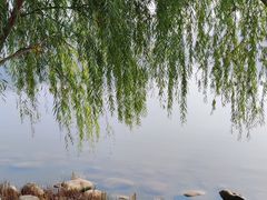 -天津万象城
