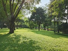 -晓港公园