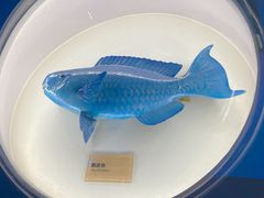 -陕西自然博物馆