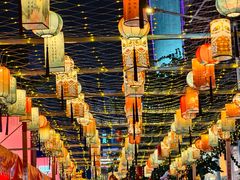 -越秀西湖花市(广州城市广场花卉店)