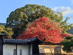 -醍醐寺