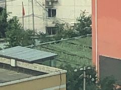 -北京市海淀区锦绣明天莲宝幼儿园