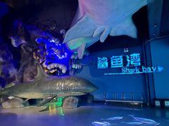 -泉城欧乐堡海洋极地世界