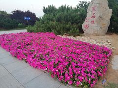 -黑石礁公园