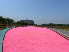 -春花秋色城市公园