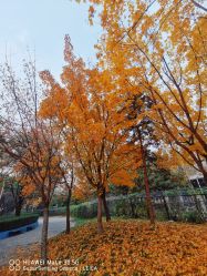 -酷酷兔少儿拓展天地