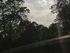-秀丽东方