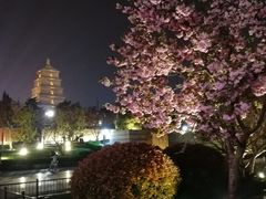 -大唐博相府酒店·陕西官府菜