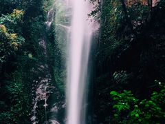 -莫里热带雨林景区