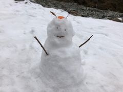 -硗碛藏寨·神木垒景区