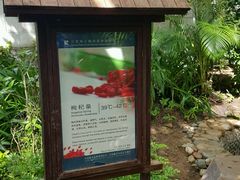 -三亚珠江南田温泉度假区