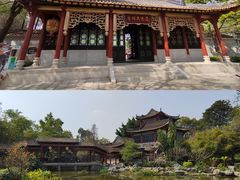 -顺峰山公园