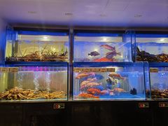 -南海渔村(珠江新城店)